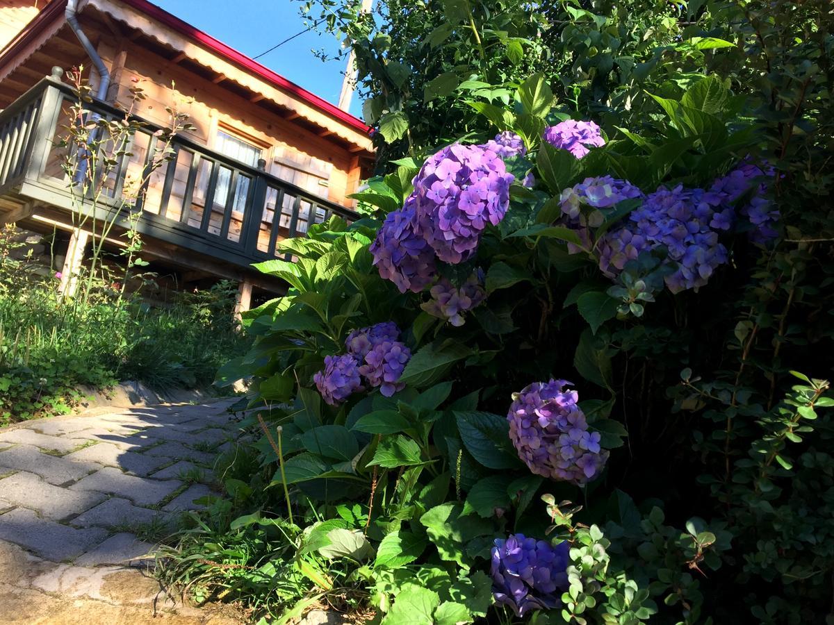 Pilita Bungalov&Rest Ayder Yaylasi Εξωτερικό φωτογραφία